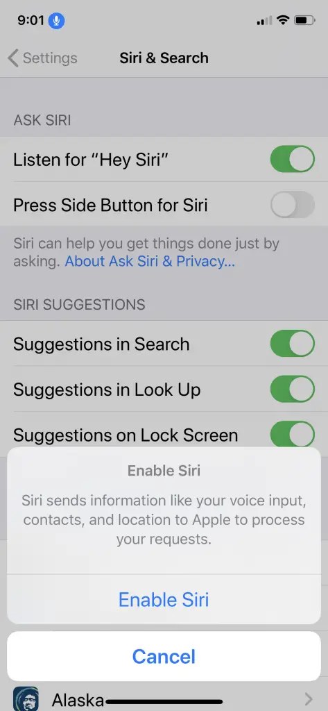 Enable Siri to Activate Visual Voicemail